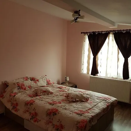 Amma Apartment Brasov Exterior photo